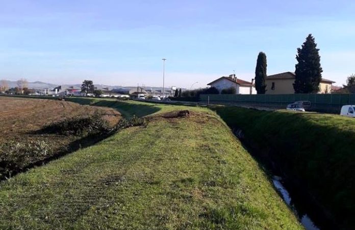 Albero Empoli 12.2018