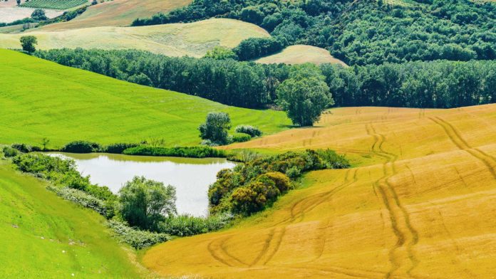 mediovaldarno_laghetto-invaso-valdorcia