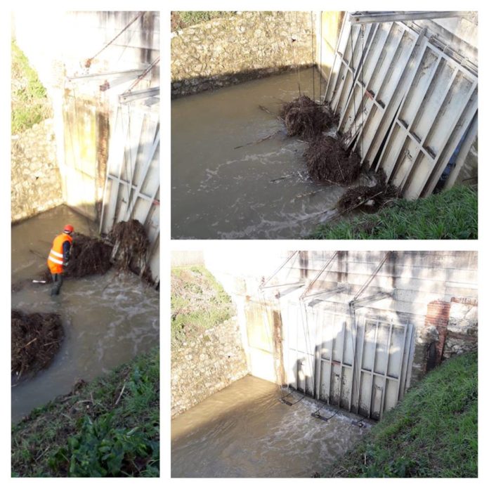 cbmvfoto-lunedi20190204-1