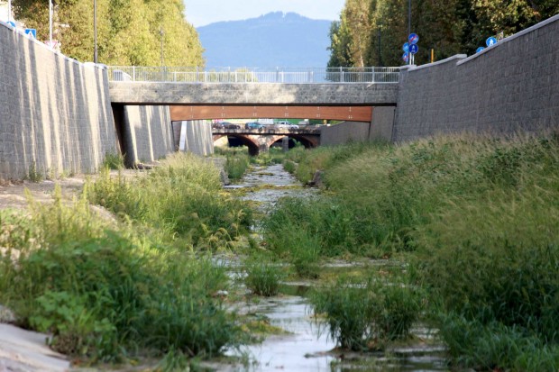 Mugnone_erba_05.2019