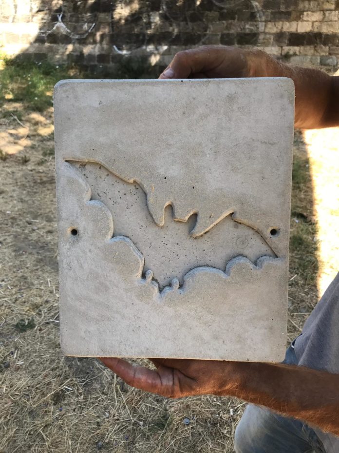 Bat Box Mugnone 07.2019 (1)