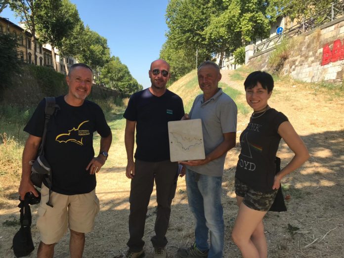 Bat Box Mugnone 07.2019 (8)