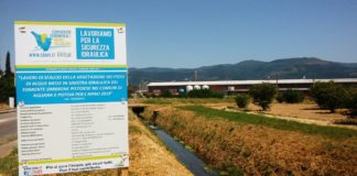 Il giallo, il verde e l’azzurro dei fossi di acque basse del pistoiese tutti sfalciati per l’estate