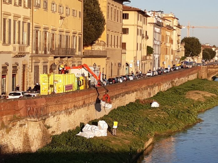 Lavori Arno Firenze 09.2019 (5)