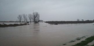 MALTEMPO 21-22 dicembre: Consorzio di bonifica al lavoro