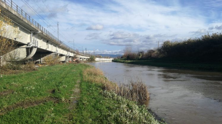 il Bisenzio a Signa (Renai) - 22/12/19 ore 13.00