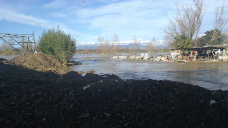 il Bisenzio a Signa (Renai) - 22/12/19 ore 13.00