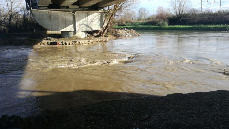 il Bisenzio a Signa (Renai) - 22/12/19 ore 13.00