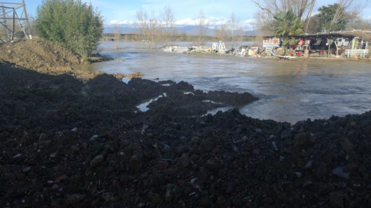 il Bisenzio a Signa (Renai) - 22/12/19 ore 13.00