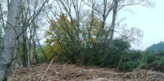 Pesa: in corso la rimozione dei materiali accumulati dalle piene di dicembre