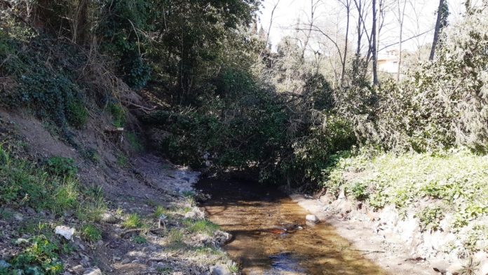 San Polo MAIN 03.2020 (3)