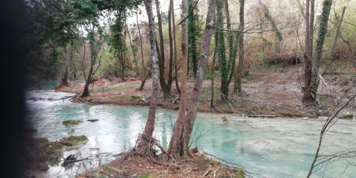 Sentierelsa Colle 03.2020 (2)