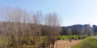 Ferrone, Greve in Chianti: importante manutenzione alla cassa di espansione sulla Greve