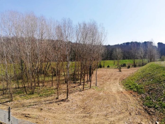 CassFerrone_dopo (2)