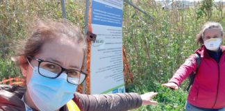 Ombrone a Castelletti: al termine interventi di mitigazione del rischio idraulico sull’argine sinistro
