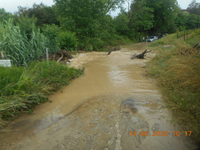Guado Santa Margeherita San Gimignano_14.06.2020