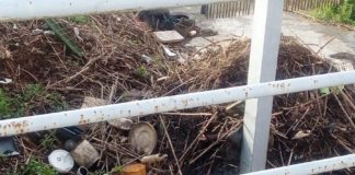 Un milione di tonnellate di rifiuti destinati al mare e intercettati annualmente dalle idrovore dei consorzi di bonifica