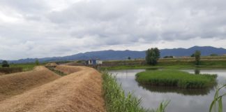 Pianura pistoiese: proseguono gli sfalci del Consorzio sui corsi d’acqua