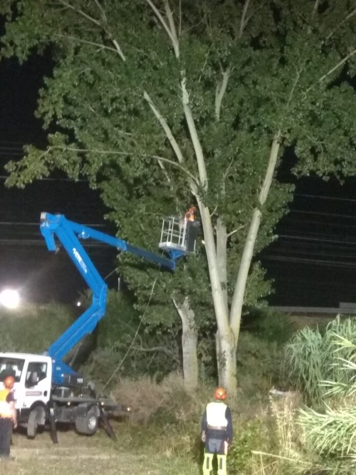 IMG_20200627_003019 (1)