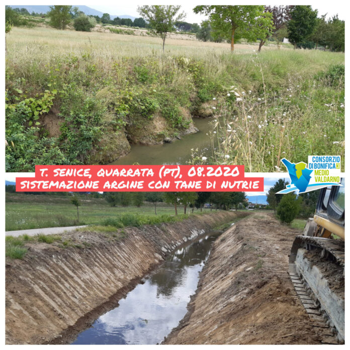 Senice Quarrata Tane Nutria 08 2020