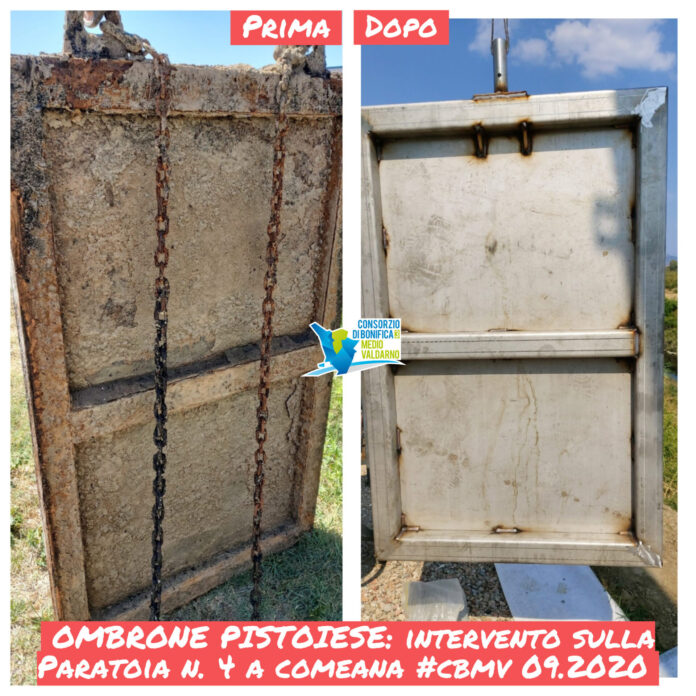 Paratoia 4 (2)(1)