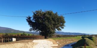 Settola di Montale e Bure: importanti riparazioni arginali appena ultimate