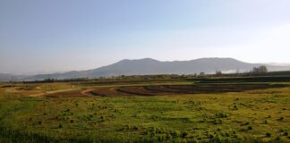 NUOVE AREE UMIDE, UN NUOVO LAGO E VIA ALLE BARRIERE ECOLOGICHE: CONSORZIO A LAVORO A CAMPI BISENZIO