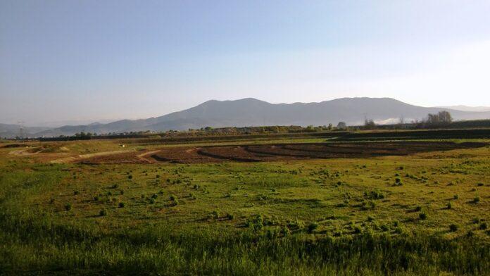 Area_umida_SanDonnino_Campi