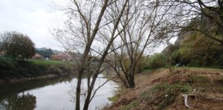 IL CONSORZIO DI BONIFICA 3 MEDIO VALDARNO A LAVORO SULL’ARNO A CAPRAIA E LIMITE