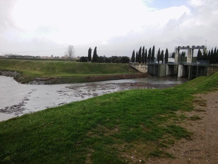 Bisenzio_Piena_10.02.2016_9