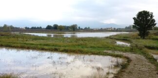 EMERGENZA METEO NELLA PROVINCIA DI PISTOIA: A QUARRATA PER LA PRIMA VOLTA ENTRA IN FUNZIONE LA CASSA D’ESPANSIONE IN LOCALITÀ QUERCIOLA