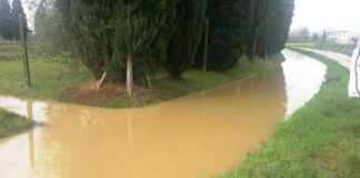 MALTEMPO: IL PUNTO SULLE PIOGGE E I CORSI D’ACQUA NEL MEDIO VALDARNO