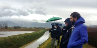 PRATO: RIPARATO L’ARGINE DANNEGGIATO DEL FICARELLO IN LOCALITÀ CASE COVERI