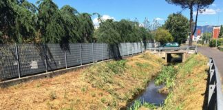 BRANA, SETTOLA E FOSSI MINORI DEL PISTOIESE: PULIZIE DEL CONSORZIO DI BONIFICA PRIMA E DOPO LE PIOGGE