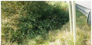 IL CONSORZIO DI BONIFICA PULISCE I FOSSI MINORI NELL’ALTA VALDELSA SENESE