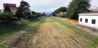 CONSORZIO: ALTRO GIRO, ALTRO SFALCIO SUI FIUMI DI CERTALDO