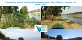 PUNTO DELLA SITUAZIONE DEGLI SFALCI DEI CORSI D’ACQUA NEL MEDIO VALDARNO
