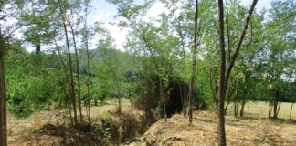 Carmignano: via a nuovi tagli selettivi lungo il torrente Furba