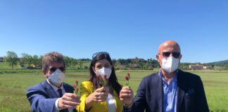20 Maggio, Giornata Mondiale delle Api / World Bee Day e il Consorzio di Bonifica presenta il progetto BCB: Bees Crops Biodiversity