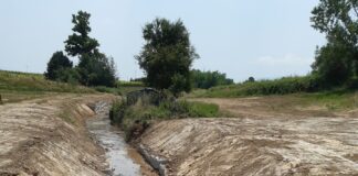 Pistoia, il Consorzio risistema il Rio Sant’Alessio