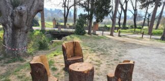 Parco del Mensola: gli alberi abbattuti diventano arredi naturali