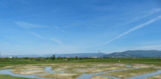 COLEPS: inaugurazione nuova opera ambientale di Carlo Scoccianti (Artlands)