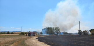Campi Bisenzio, a fuoco la cassa di espansione di Olmetti sul Vingone