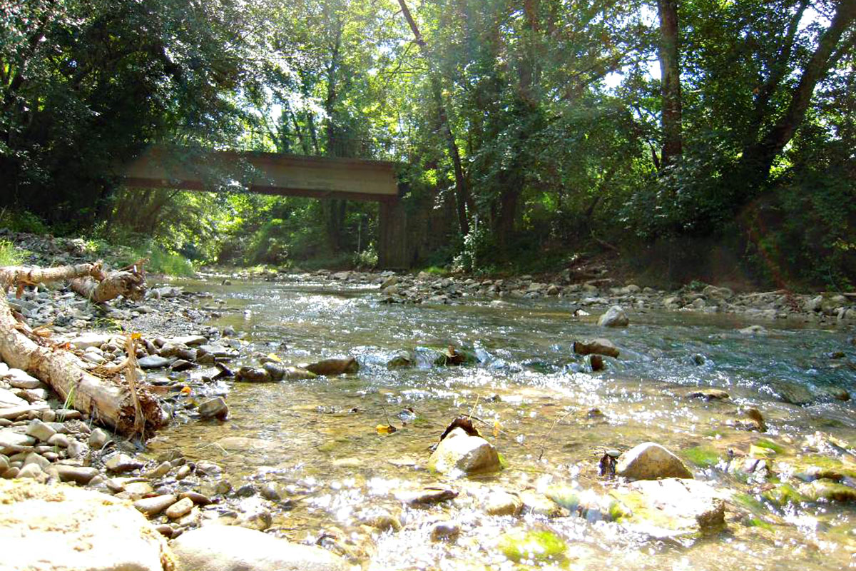 Il-ponte-di-Rignana-visto-dall’alveo-della-Pesa