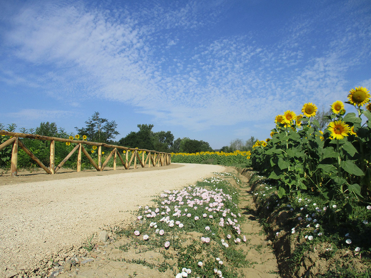 Percorso_Pesa_Ginestra-F.