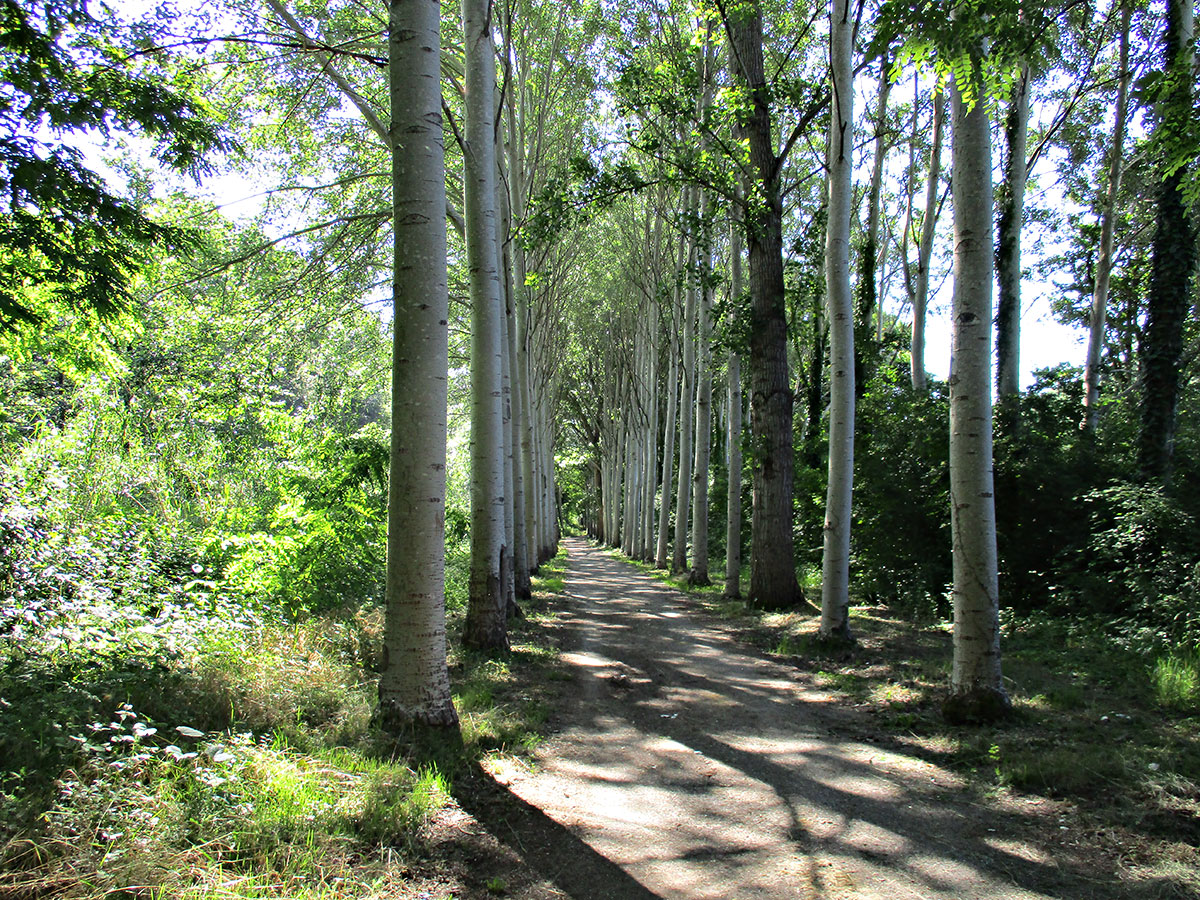 Percorso_Pesa_Le-Topole1