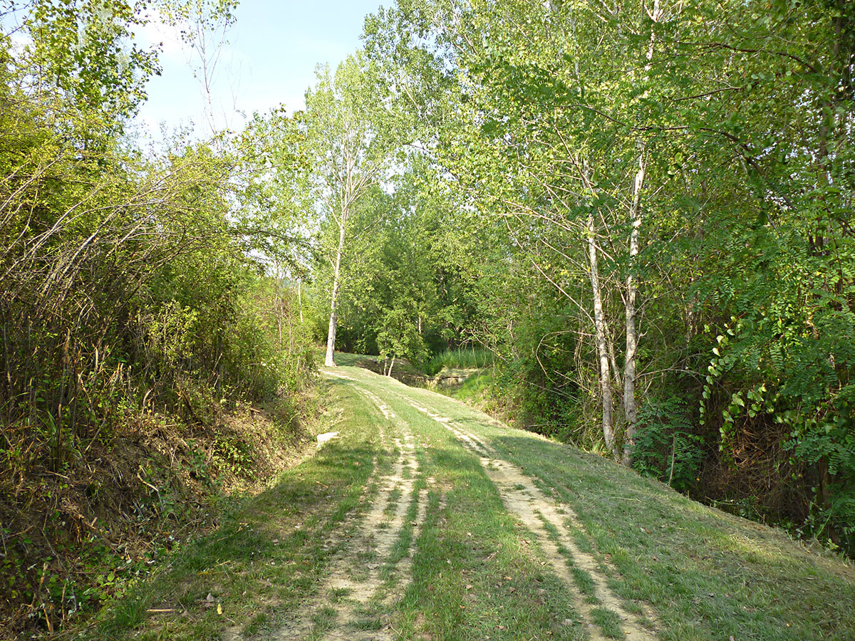 agliena4