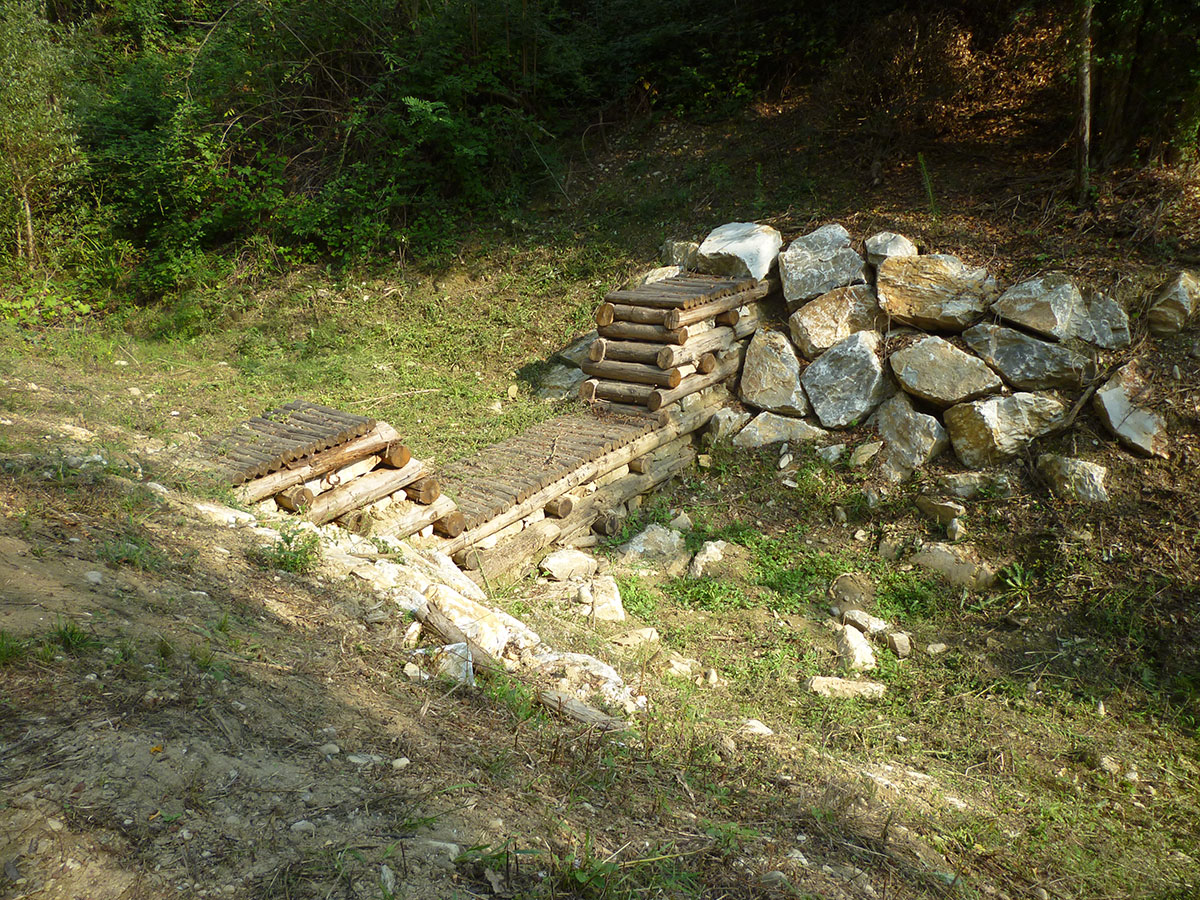 agliena5