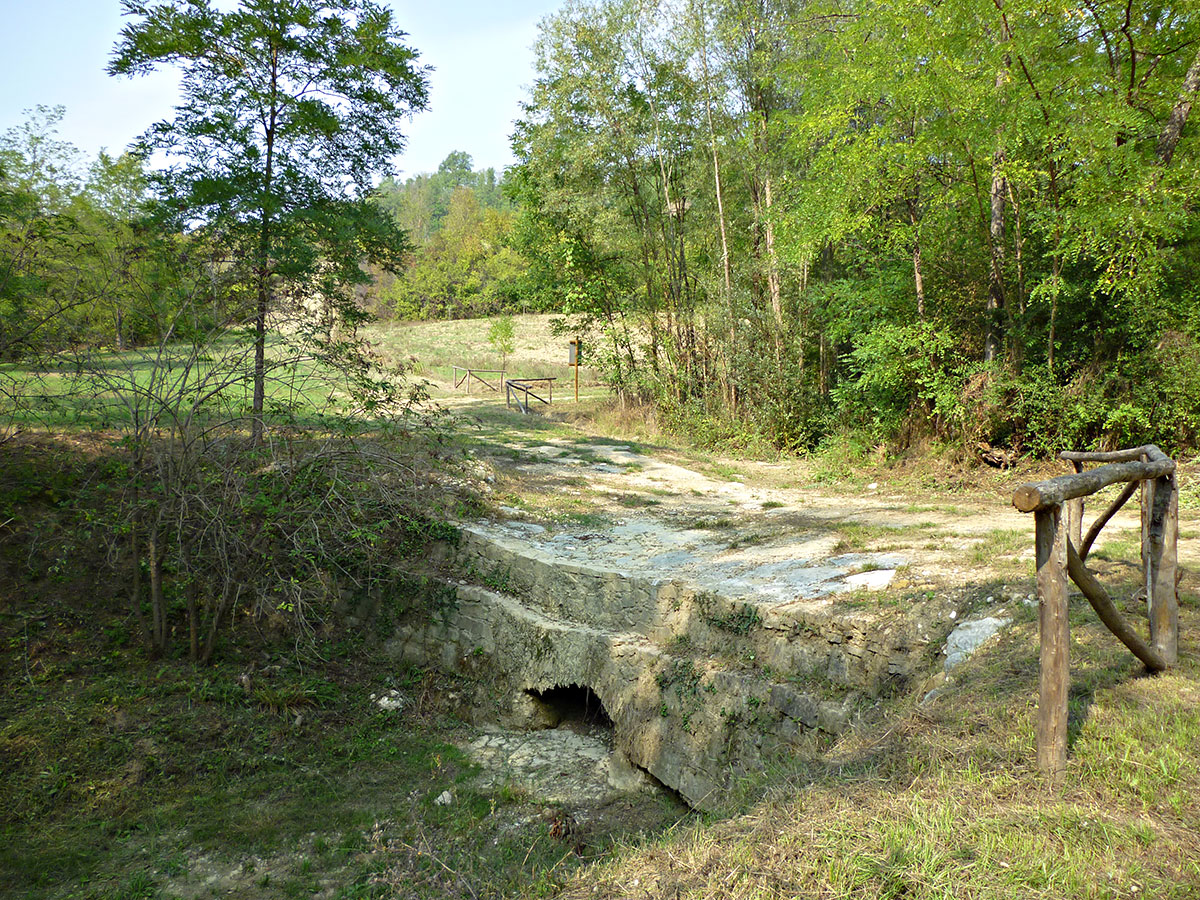 agliena6