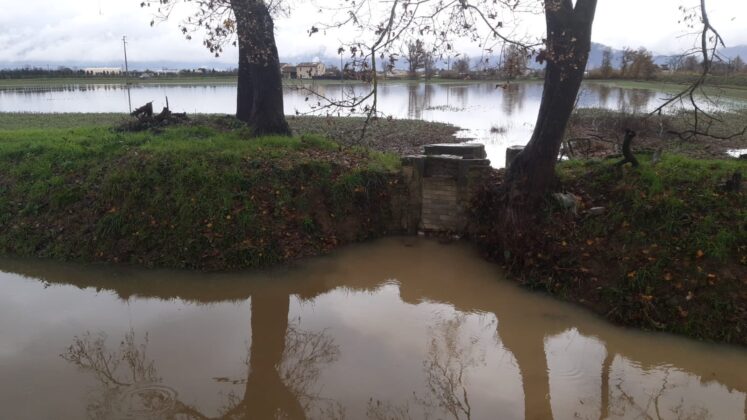 rio Caserane